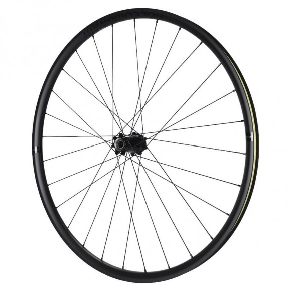 Rueda delante CANNONDALE HR 22 Disc FR Wh C 100x12 700 