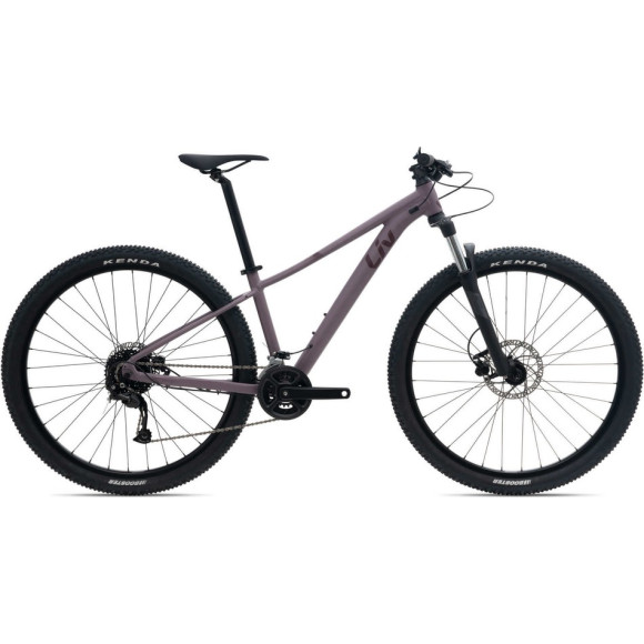 Vélo LIV Tempt 29 3-GE 2022 MAUVE L