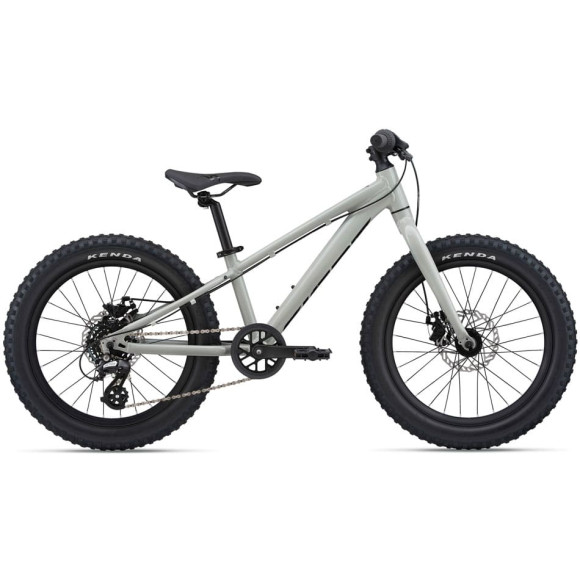 GIANT STP 20 Bicycle GREY One Size