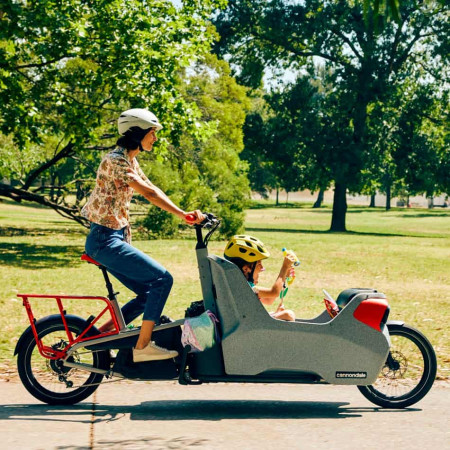 Bicicleta eléctrica CANNONDALE Wonderwagen Neo 1 GRIS Única