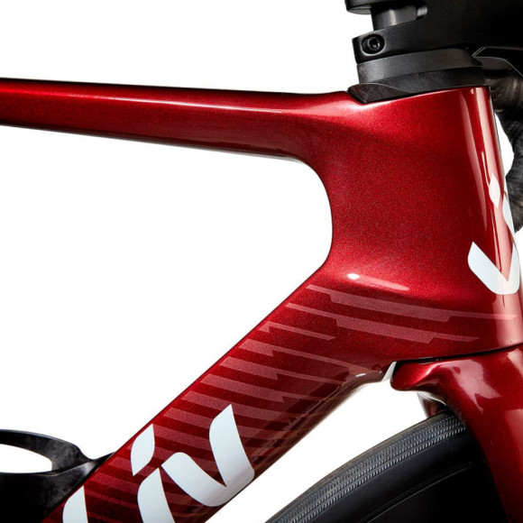 Bicicleta LIV EnviLiv Advanced 2 2024 GRANADA XXS