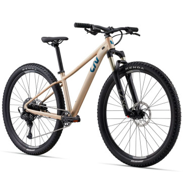 LIV Tempt 1 29 2025 Bike