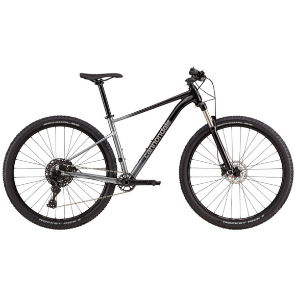 CANNONDALE Trail SL 4 Bike Gray 2023 GREY XL