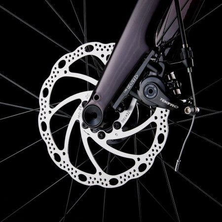 Bicicletta TREK Domane AL 2 Gen 4 2025 ANTRACITE 56