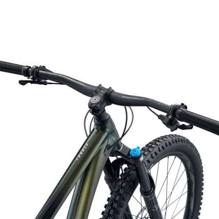 Bicicleta GIANT Trance 29 1 VERDE L