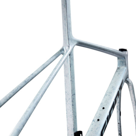 Cuadro GIANT TCR Advanced SL 2025 PLATA L