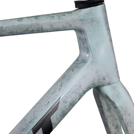 Cuadro GIANT TCR Advanced SL 2025 PLATA L