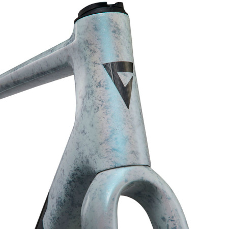 Cuadro GIANT TCR Advanced SL 2025 PLATA L