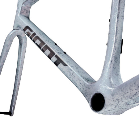 Cuadro GIANT TCR Advanced SL 2025 PLATA L