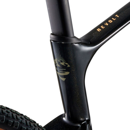 GIANT Revolt Advanced 3 2025 Bicycle BLACK M
