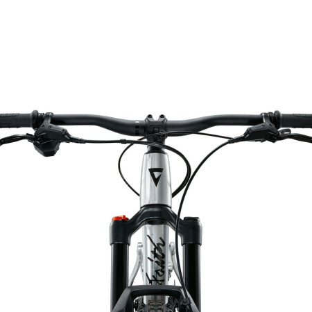 Vélo GIANT Faith 24 2026 ARGENT Unique