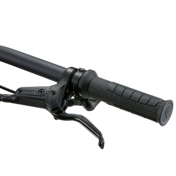 Vélo GIANT Faith 24 2026 ARGENT Unique