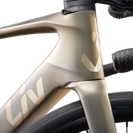 Bici elettrica LIV Avail Advanced E+ Elite 2 2025 ORO M