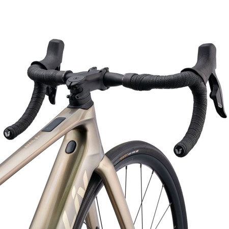 Bici elettrica LIV Avail Advanced E+ Elite 2 2025 ORO M