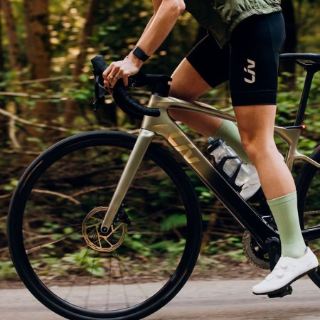 Bici elettrica LIV Avail Advanced E+ Elite 2 2025 ORO M
