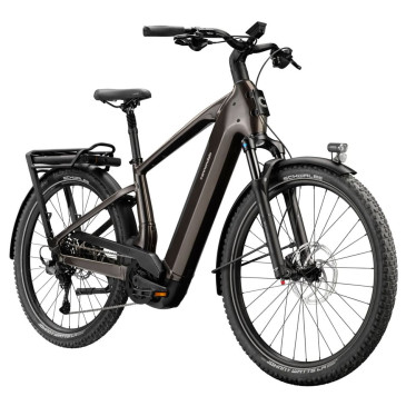 Bicicleta eléctrica...