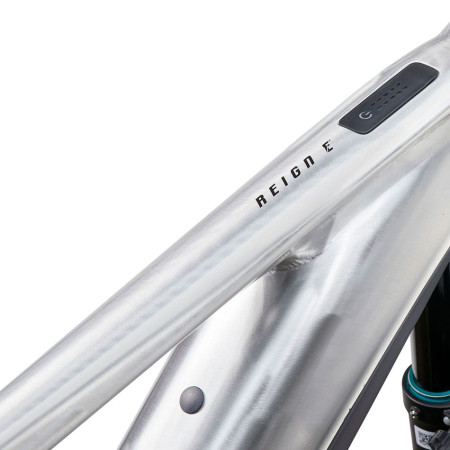 GIANT Reign E+ 3 2025 electric bike SILVER L