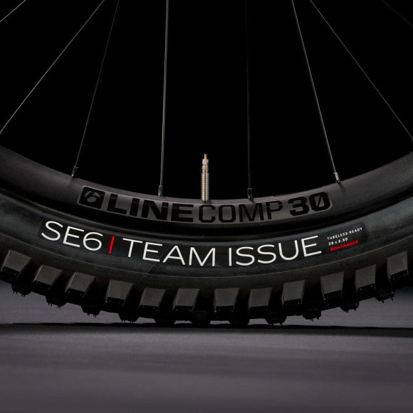 Vélo TREK Slash 9 GX AXS Type T Gen 6 2025 GRIS L