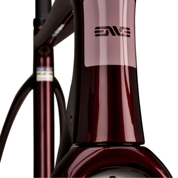 Kit telaio ENVE Mog OLIVA 54