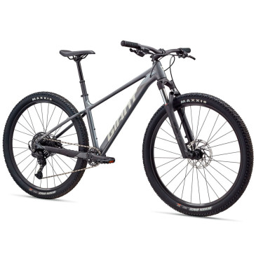 Vélo GIANT Talon 29 1 2026