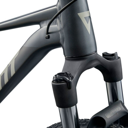 Vélo GIANT Talon 29 1 2025 GRIS XL