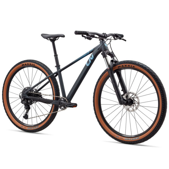 Vélo LIV Tempt 1 29 Black Diamond 2026 LE NOIR S