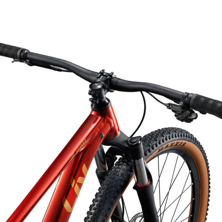 LIV Tempt 2 29 Mars Dust 2025 Bike RED S