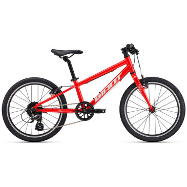 GIANT ARX 20 2025 Bike
