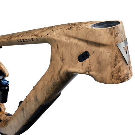 Cuadro GIANT Trance X Advanced 2025 BEIGE L