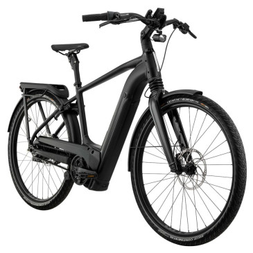 Bicicleta eléctrica...