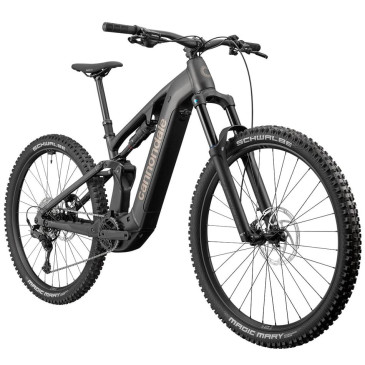 Bicicletta elettrica...