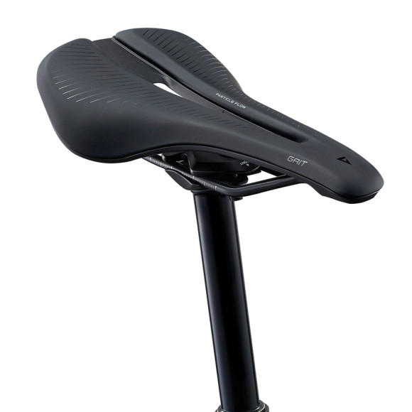 Bicicleta GIANT Anthem Advanced 29 3 2025 MARINO S