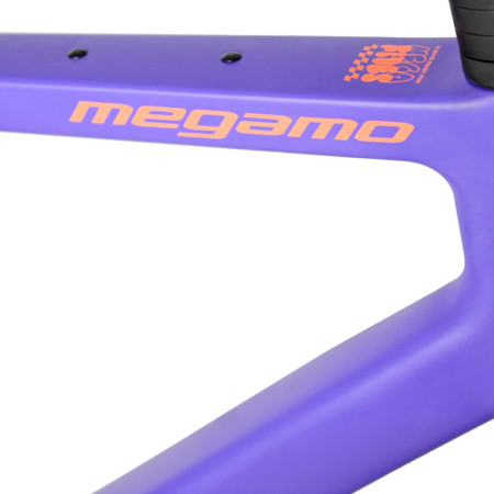 Vélo MEGAMO West 10 2026 VERT M