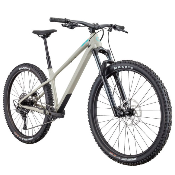 Bicicletta CANNONDALE Habit HT 1 2026 GRIS XL