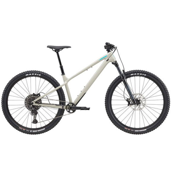 Vélo CANNONDALE Habit HT 1 2026 GRIS XL