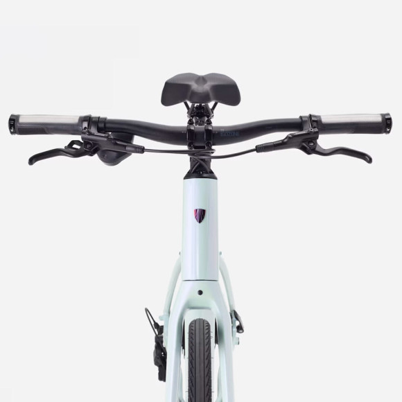 Bicicleta TREK FX 3 Stepover Gen 4 2026 HORTELÃ XL