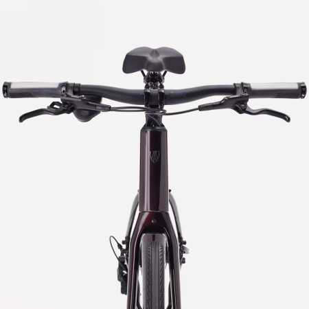 Vélo TREK FX 3 Stepover Gen 4 2026 MENTHE XL