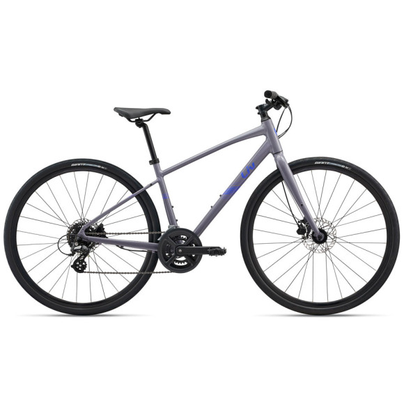 Bicicleta LIV Alight 3 Discos 2026 CINZA M