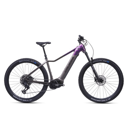 Bicicleta eléctrica CRUSSIS e-Fionna 10.11 894 Wh 2026 GRIS S