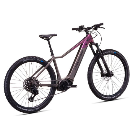 Bicicletta elettrica CRUSSIS e-Fionna 10.11 715 Wh 2026 GRIS S