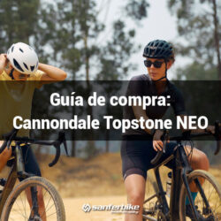 Cannondale Topstone Neo
